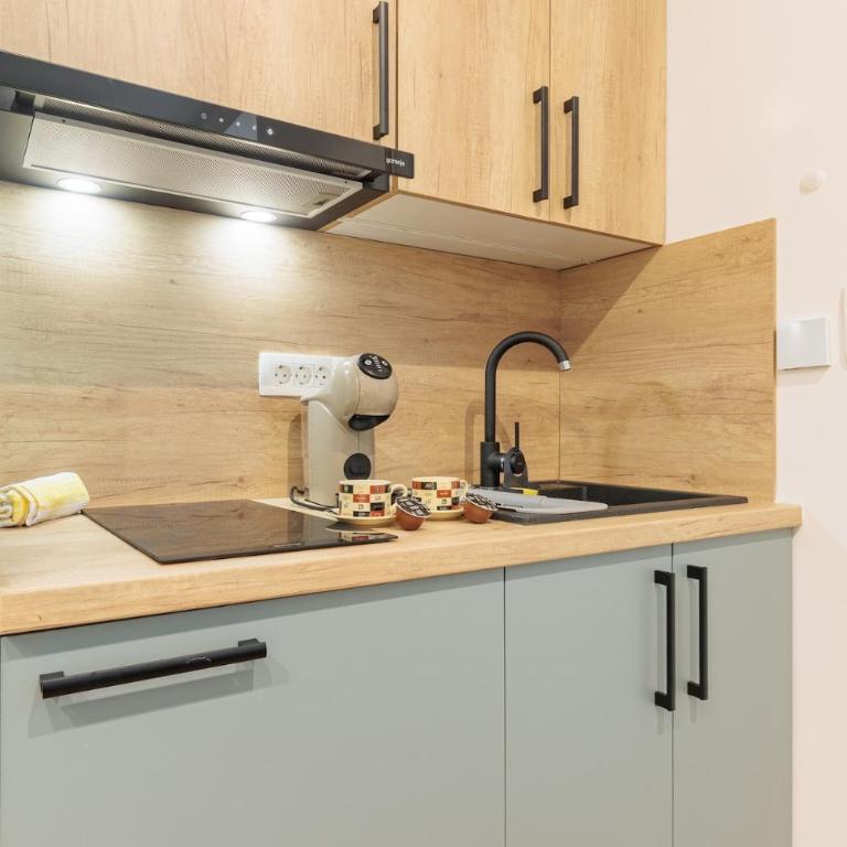 New & Modern Studio in a Perfect Sarajevo Location - Studio sa Bračnim Krevetom (King-size) - 13