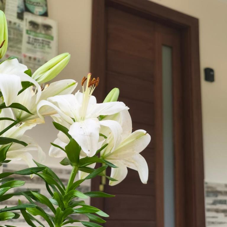 loft grupo y parejas AZUCENAS - Apartamento de 1 dormitorio - 35