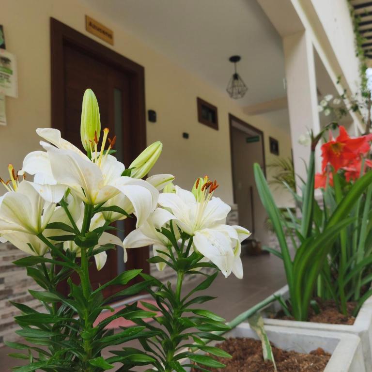 loft grupo y parejas AZUCENAS - Apartamento de 1 dormitorio - 37