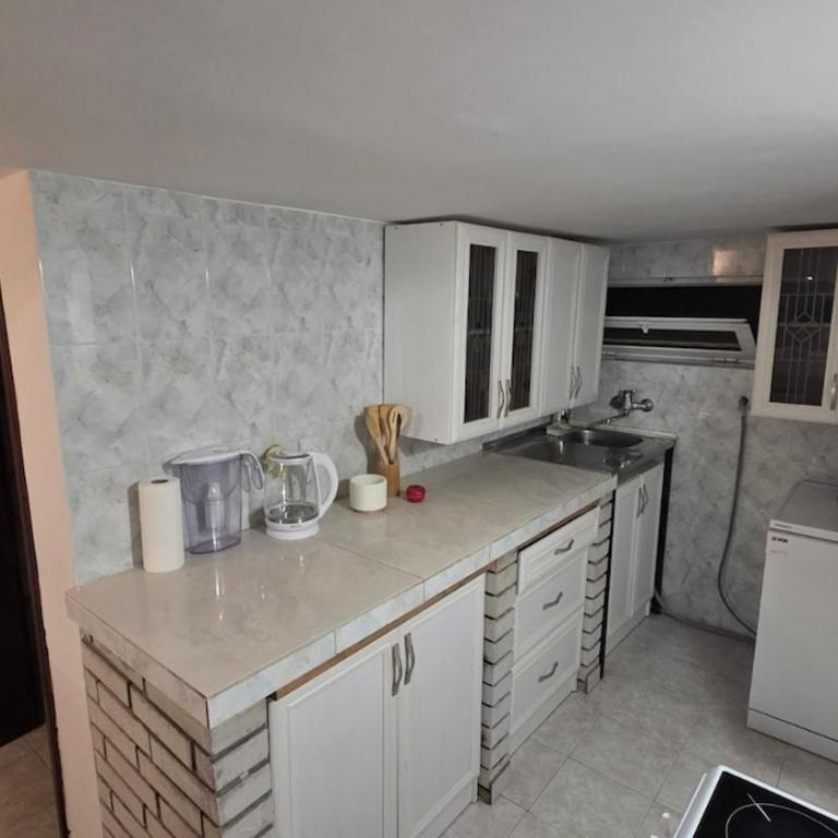 Hillside Apartment Podgorica - Apartman sa 1 Spavaćom Sobom - 9