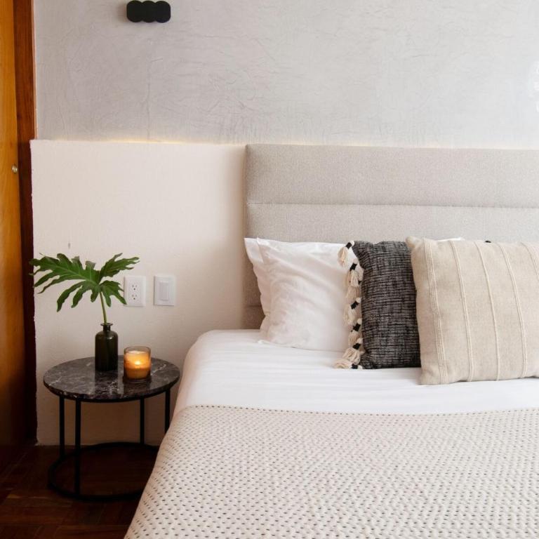 Coyoacán 6 bedroom house, 3 and a half bathrooms, 14 guests - Apartment - 41