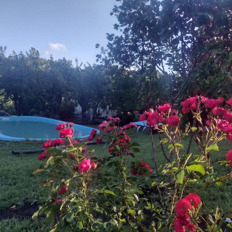 La Nogalera Casa Serrana de Campo - Casa de 2 dormitorios - 15