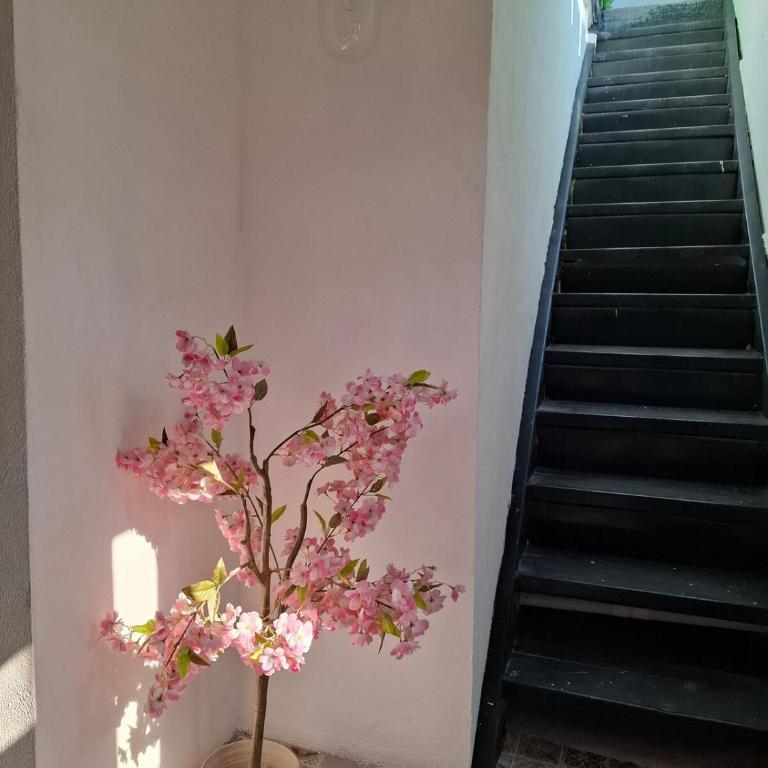 DGM Lofts GPE 8 cerca stadium Rayados MTY - One-bedroom Loft Apartment - 2