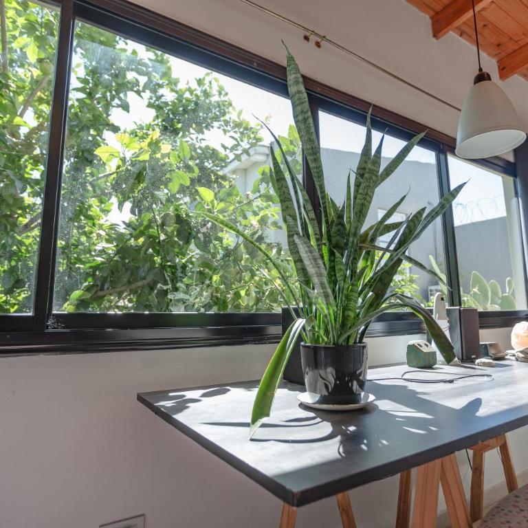 Casa Espacio Yoga - Twin Room - 6