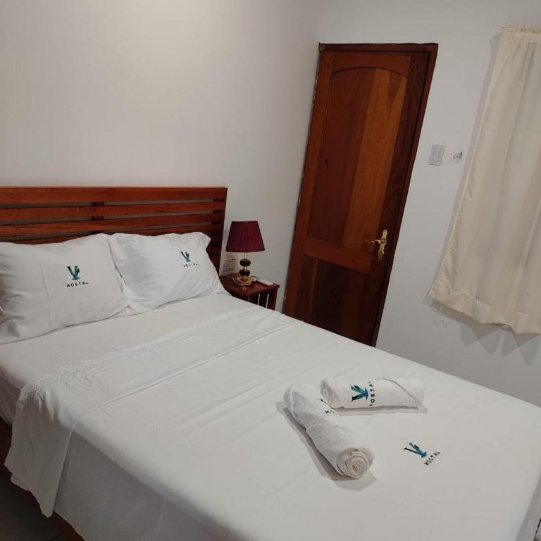 Marje Vögeli Hostal Iquitos Peru - Double Room - 6