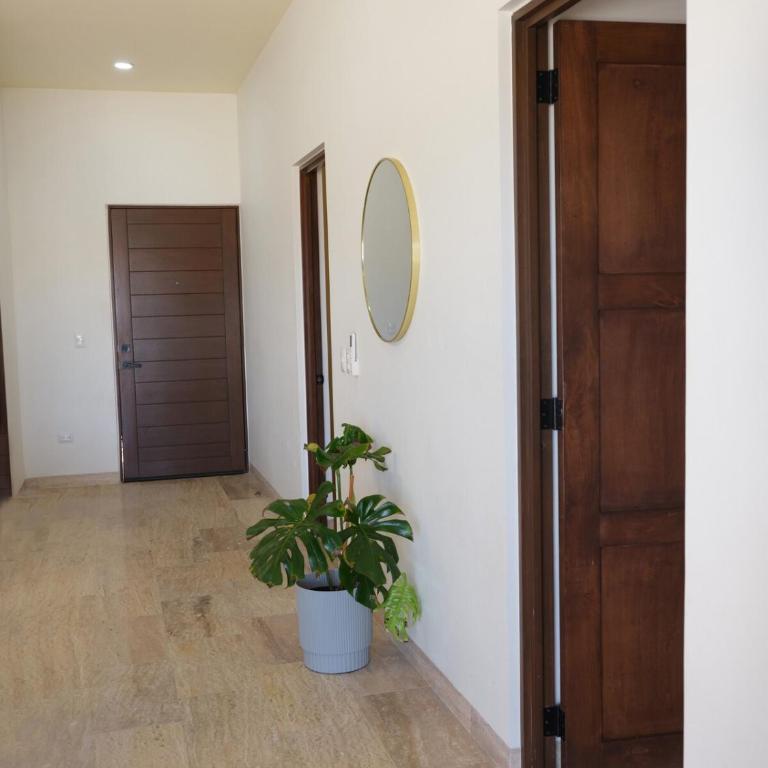 Dream Getaway Near the Ocean Los Cabos - Apartamento de 2 dormitorios - 2