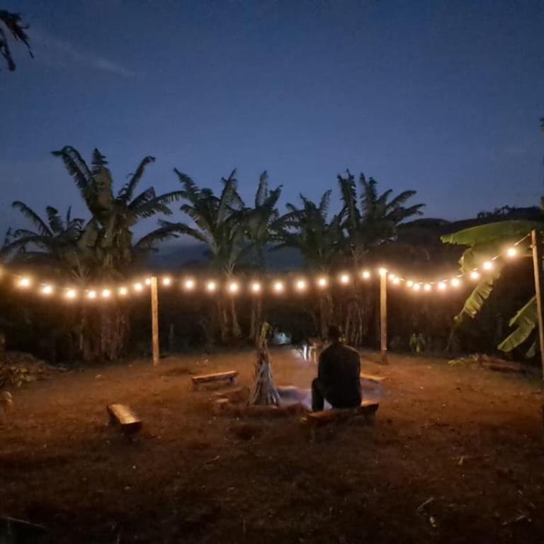 Sallqa samana - Tent - 1