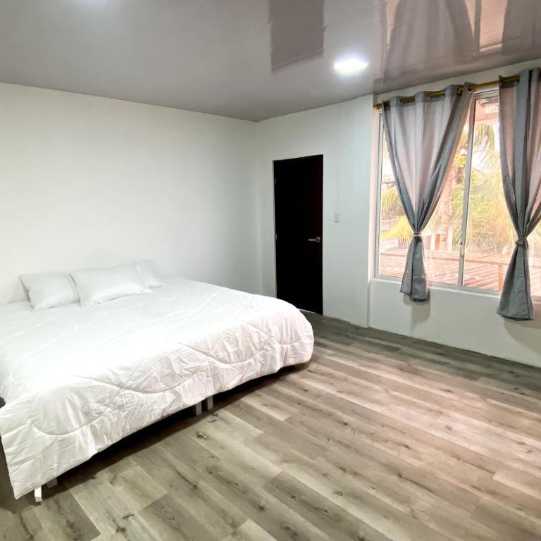 Galapagos Dove - Double or Twin Room - 3