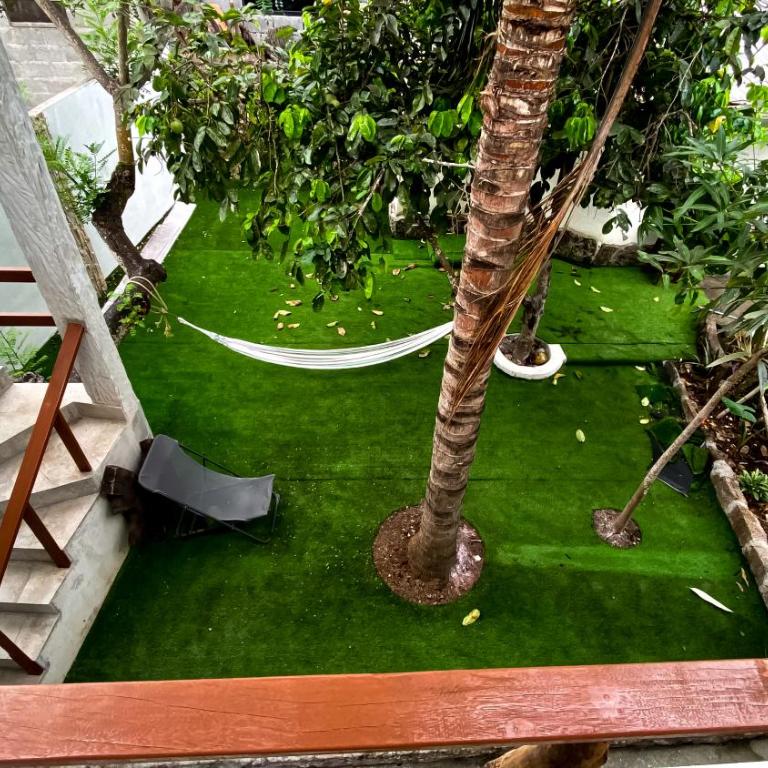 Galapagos Dove - Double or Twin Room - 1