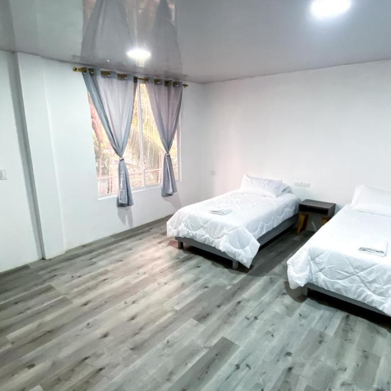 Galapagos Dove - Double or Twin Room - 5