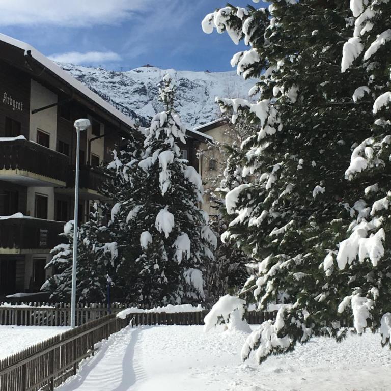 Ferienwohnung Sonnmatt - Apartamento de 3 dormitorios - 33