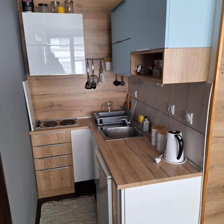 Apartman Naj - Apartman sa 1 Spavaćom Sobom - 5