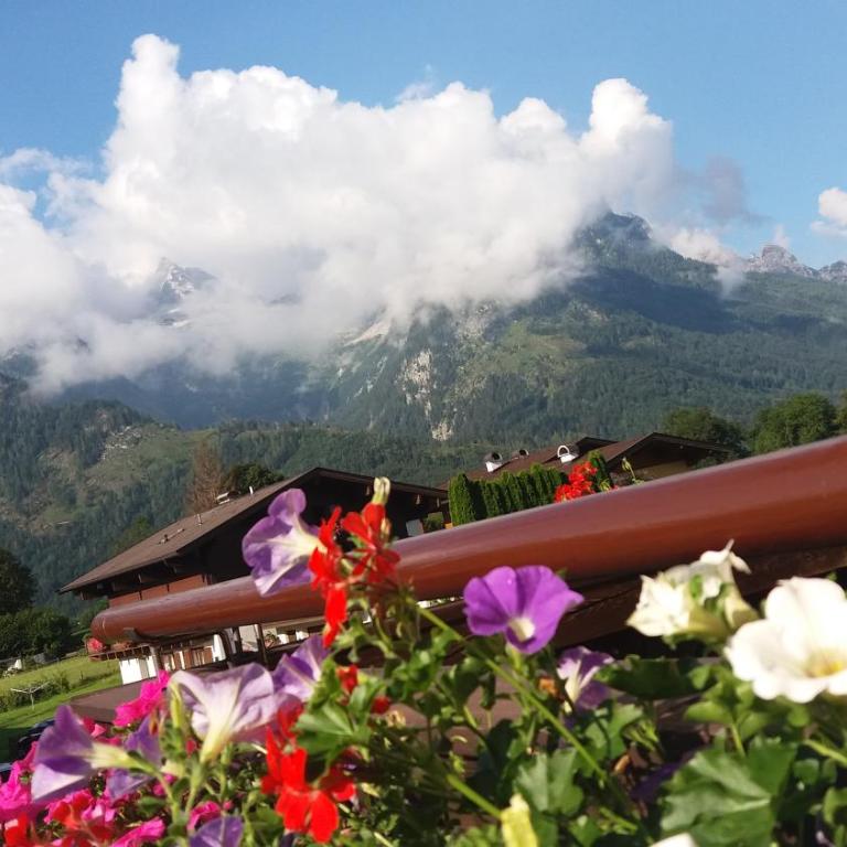 Haus Alpengruß - Apartamento de 2 o 3 dormitorios con balcón - 31