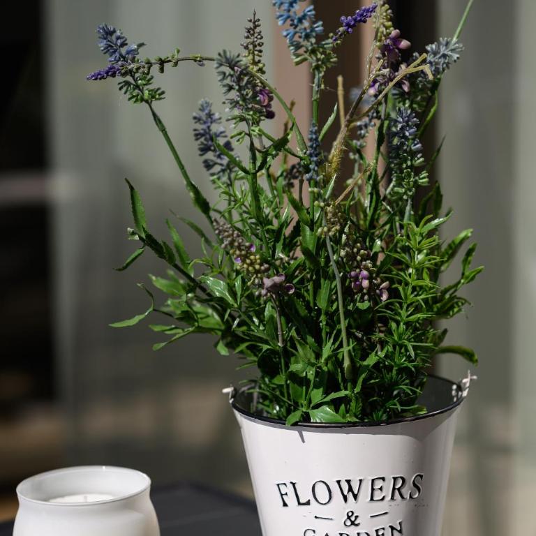 BW Alba Waterfront New Luxury Apartment - Free Parking - Apartment mit 1 Schlafzimmer und Gartenblick - 21