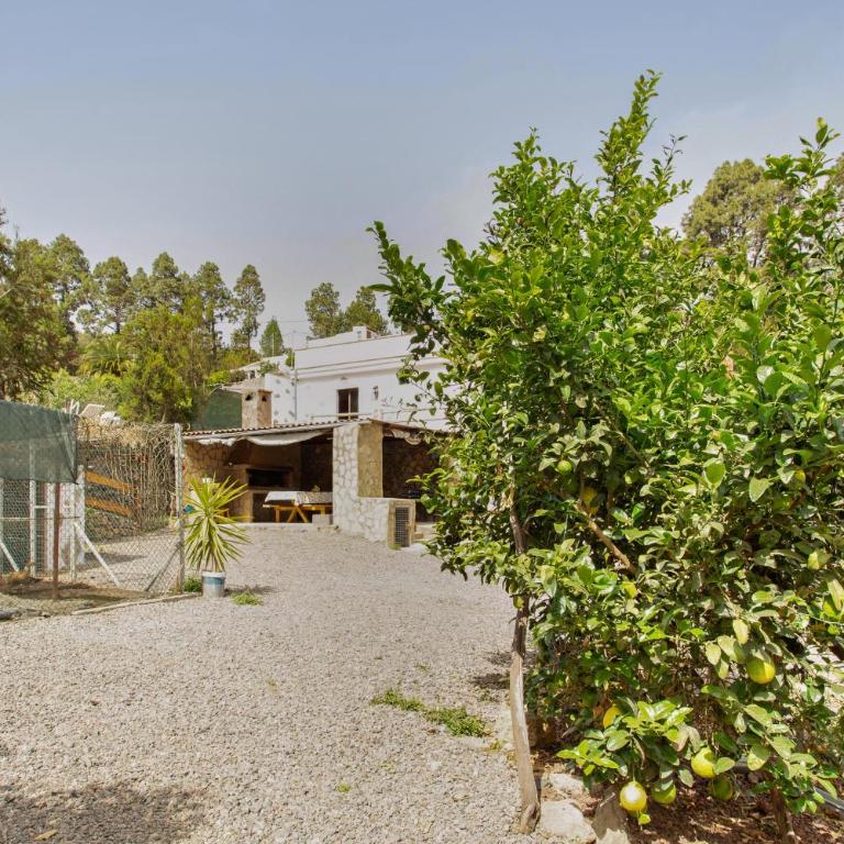 Finca aurora Ecorural - Apartamento Superior de 1 dormitorio con balcón - 23