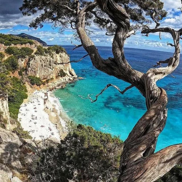 casa ORCHIDEA oasi di relax - Appartamento con 2 Camere da Letto - 21