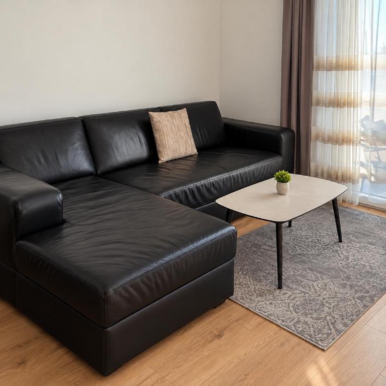 City Nest Podgorica with Free Parking - Apartman sa 2 Spavaće Sobe i Balkonom - 12