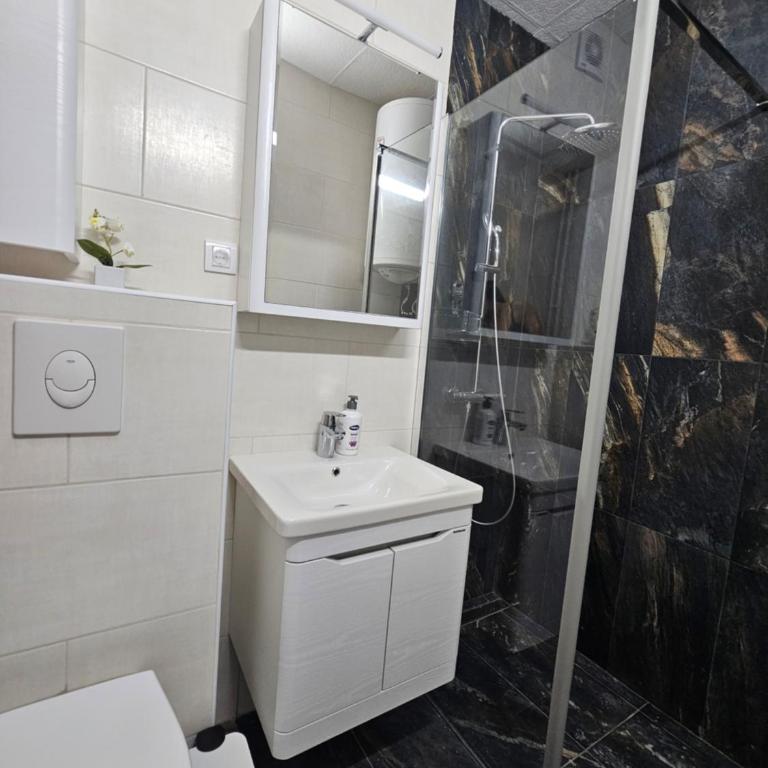 Big Family Apartment - Apartman sa 2 Spavaće Sobe - 10