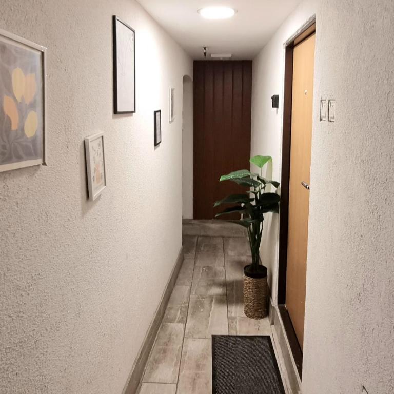 Mi Casita Cozy Central Studio - Appartement 1 Chambre - 12