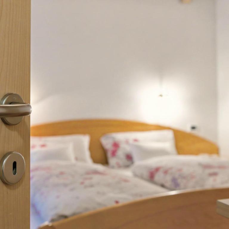 Wirthof Apartments - Appartement 1 Chambre Supérieur avec Balcon - 17