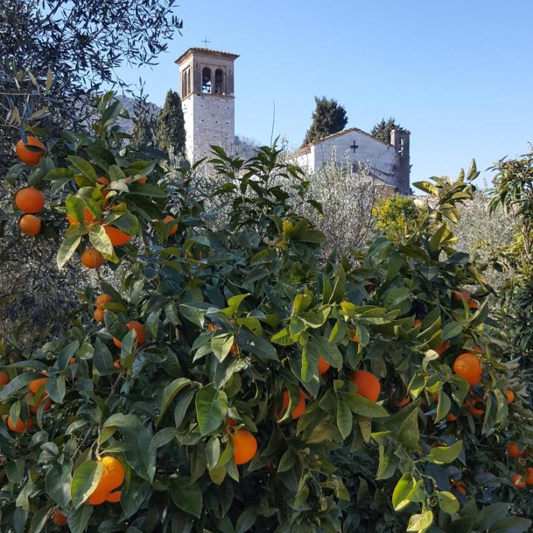 Casolare Al Dopolavoro - Casa con 2 Camere da Letto - 44