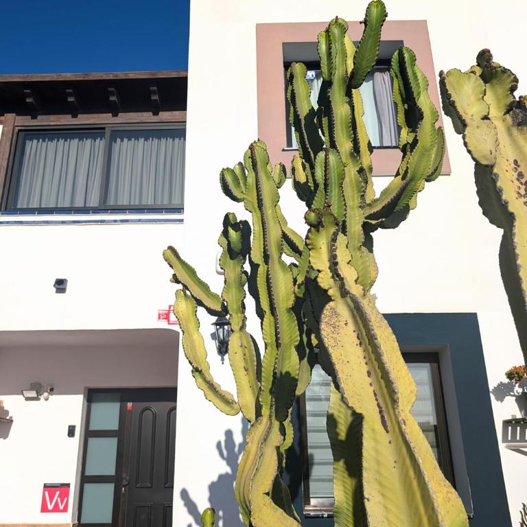 CASA RODO, ideal remote work, relaxing, pool and surfing - Haus mit 3 Schlafzimmern - 25