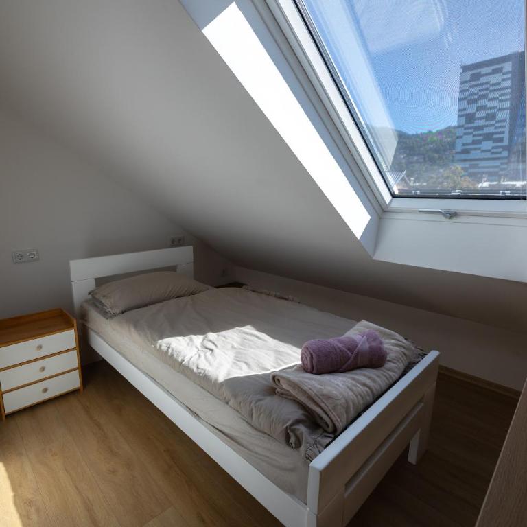 Sarajevo Domi Apartment - Apartman sa 2 Spavaće Sobe i Pogledom na Grad - 18