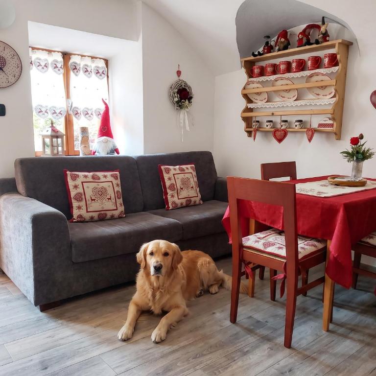L'Antica CANONICA di Casa Bernardi, terrazzo Wi-Fi PetFriendly con Area Cani - Appartamento con 2 Camere da Letto - 7