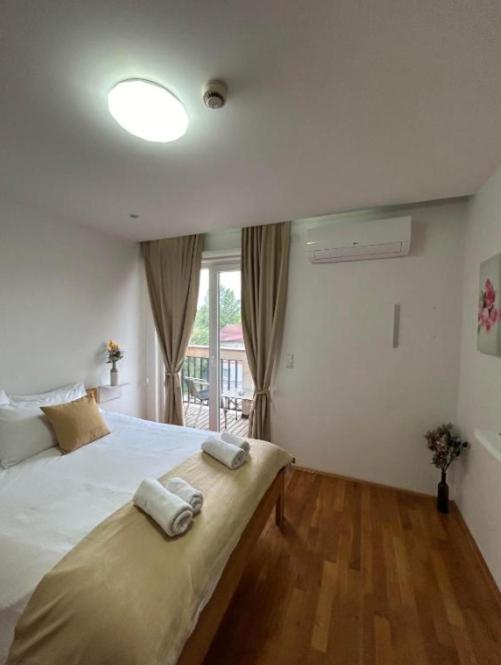 Gaia Aparthotel near Airport - Dvokrevetna Soba sa Bračnim Krevetom i Balkonom - 9