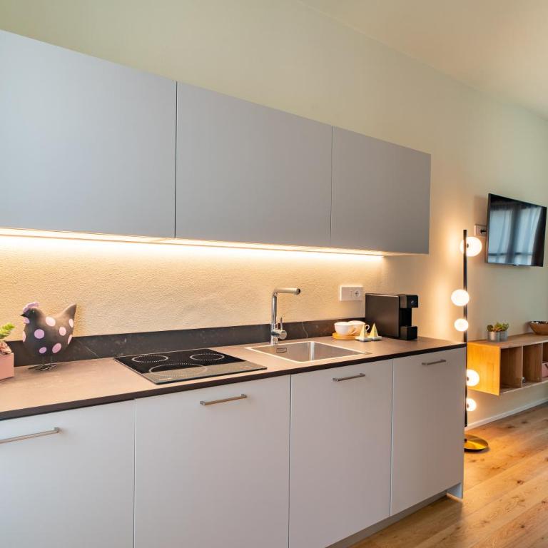 Aosta Centre Apartments - Sant'Anselmo - Appartamento con 1 Camera da Letto - 8