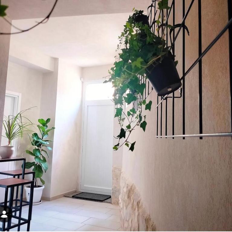 Civico Dodici - Appartamento con 2 Camere da Letto - 9