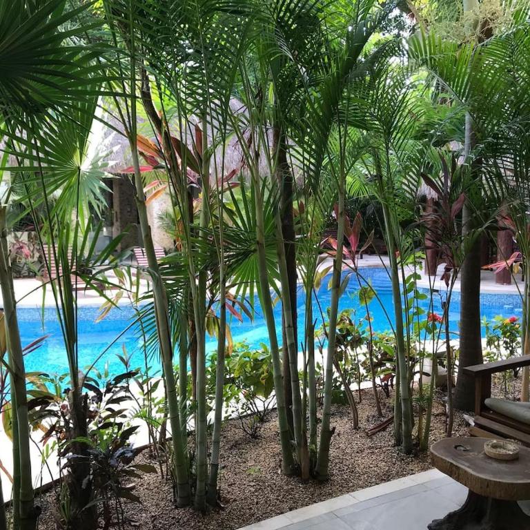 Boho Chic poolside Condo 7 min to the Beach & Town - Apartamento - 30
