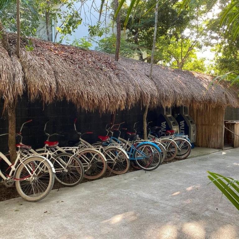 Boho Chic poolside Condo 7 min to the Beach & Town - Apartamento - 50