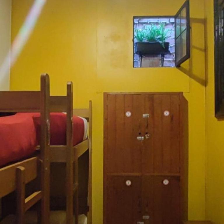 Flying Dog Hostel - Cama en habitación compartida con 4 camas - 4