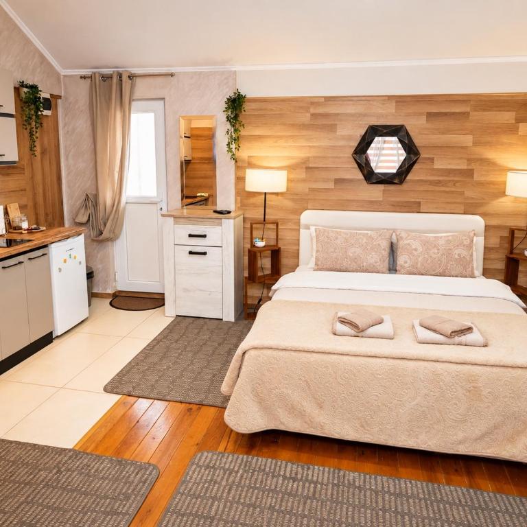 Apartments Baron Žabljak - Studio sa Terasom - 3
