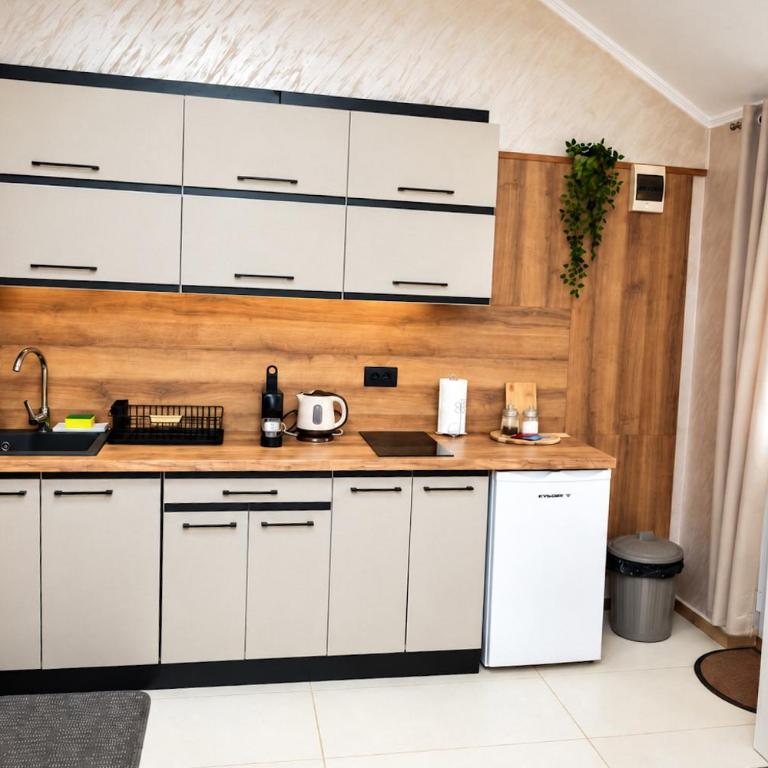 Apartments Baron Žabljak - Studio sa Terasom - 4