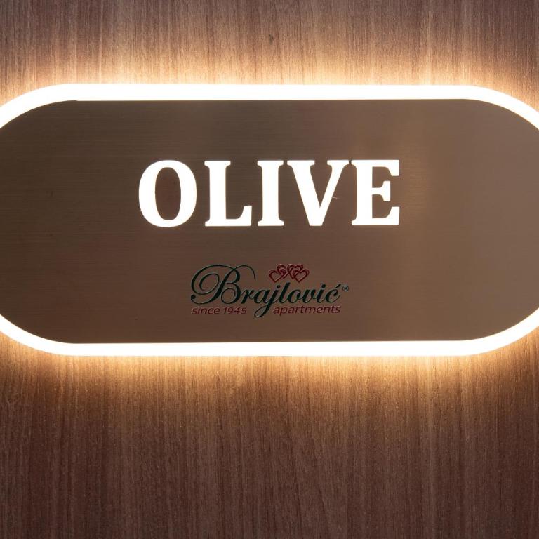 Brajlovic Apartments Katedrala - Appartement - Vue sur Ville - 1