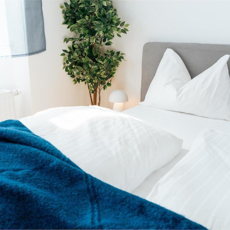 K6 Luxe Apartments near Schlossberg - Appartamento con 3 Camere da Letto e con Balcone - 19