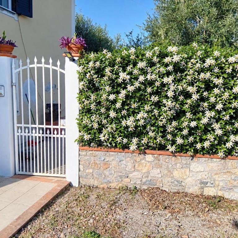 Villa Aurora - Casa con 2 Camere da Letto - 16