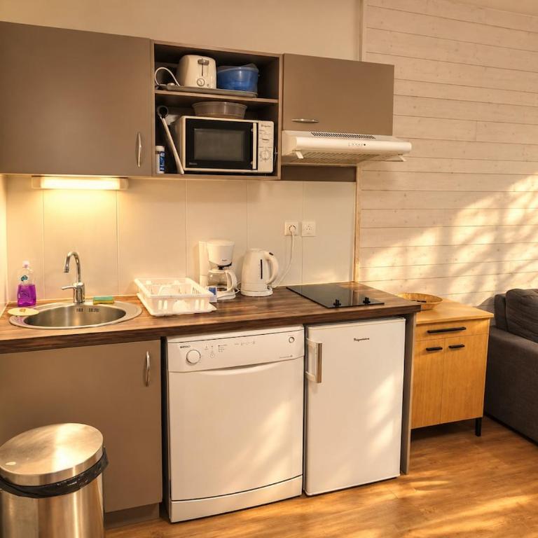 Studio Résidence 3 étoiles - Appartamento con 1 Camera da Letto - 7