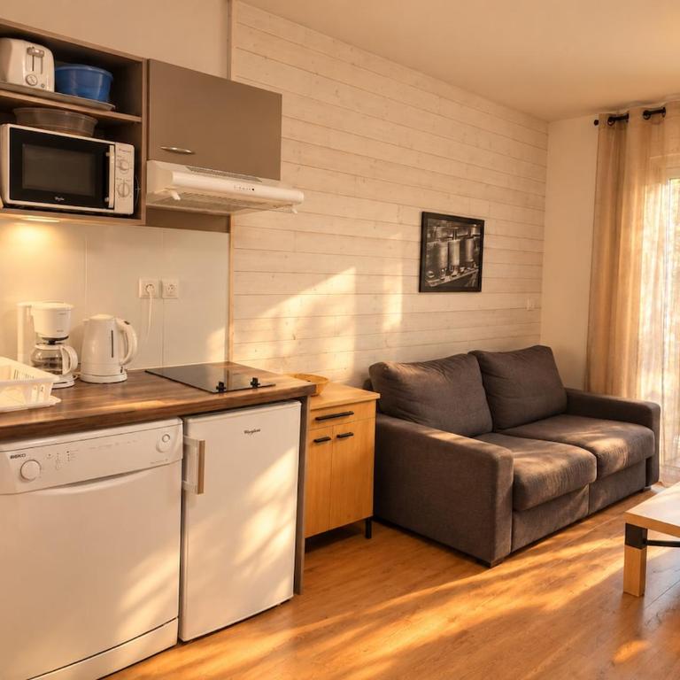 Studio Résidence 3 étoiles - Appartamento con 1 Camera da Letto - 11