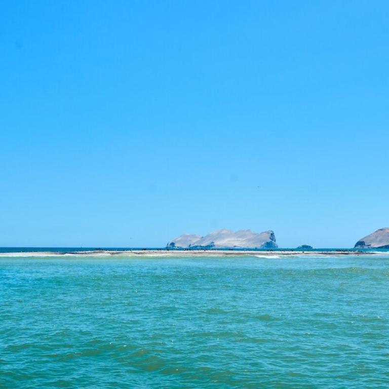 A harmonious mini-apartment one block from the sea in La Punta - Apartamento de 1 dormitorio - 3