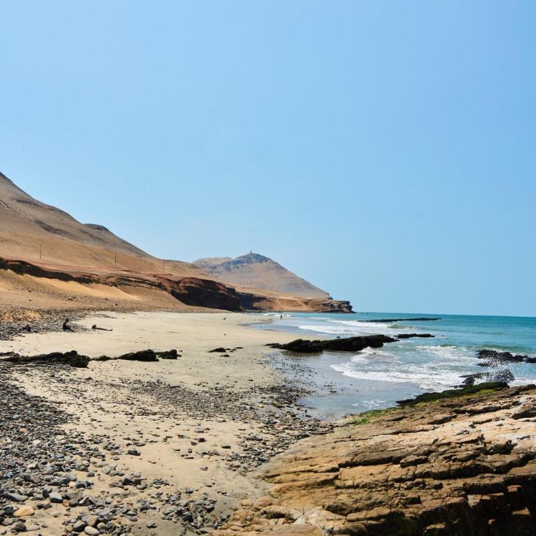 A harmonious mini-apartment one block from the sea in La Punta - Apartamento de 1 dormitorio - 5