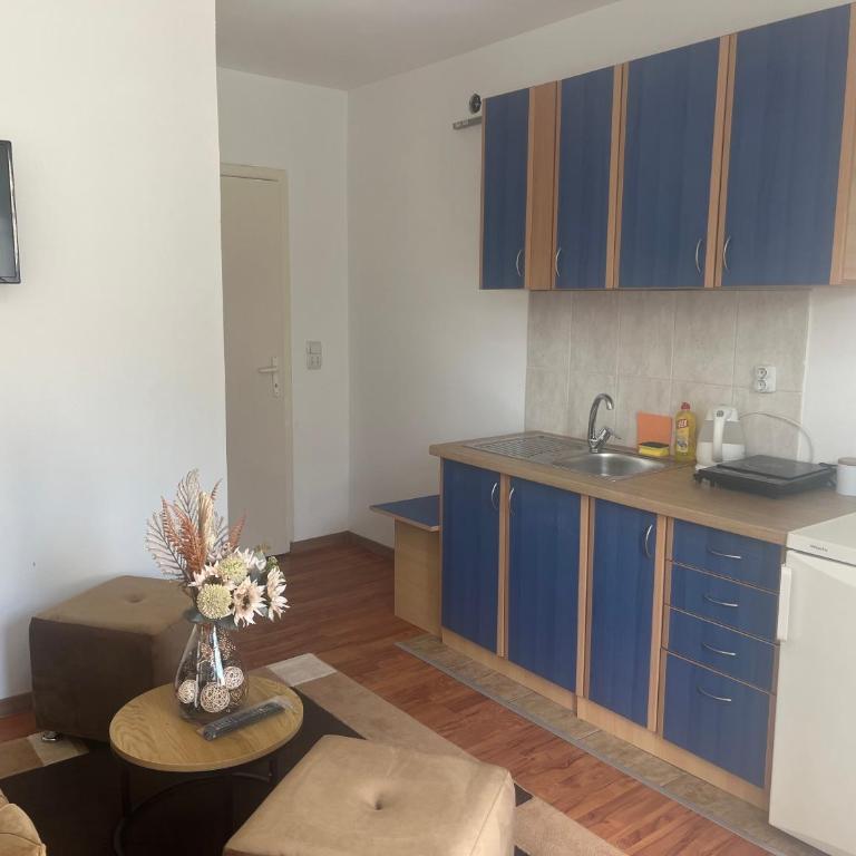 Apartment Dida Ledine - Appartement 1 Chambre - 11