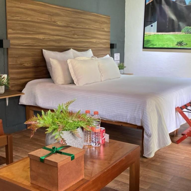 Orgánico Hotel Boutique VALLE DE BRAVO - Suite con terraza - 4