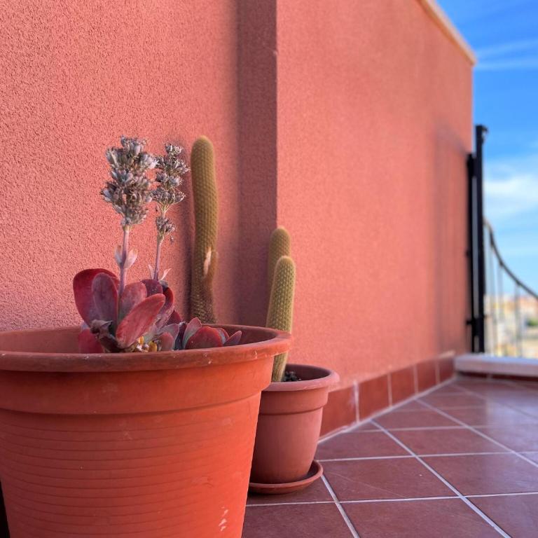 Coastal Family Apartment in Roquetas de Mar - One-Bedroom Apartment - 23