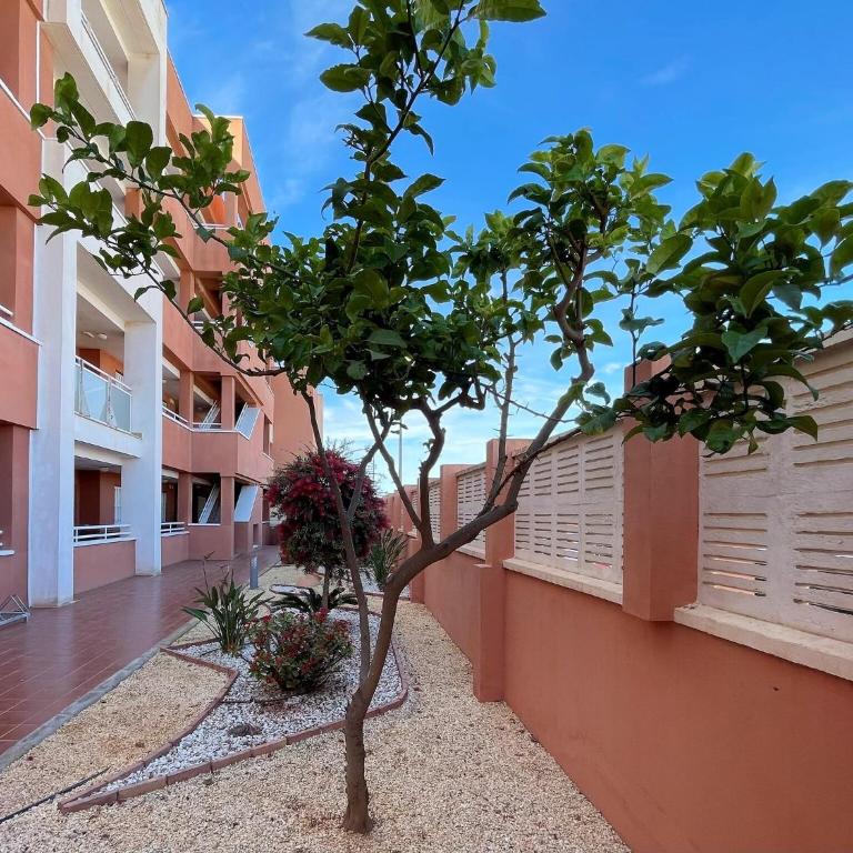 Coastal Family Apartment in Roquetas de Mar - One-Bedroom Apartment - 1