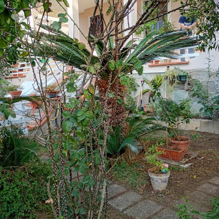 Villa Itaca - Appartamento con 2 Camere da Letto - 23