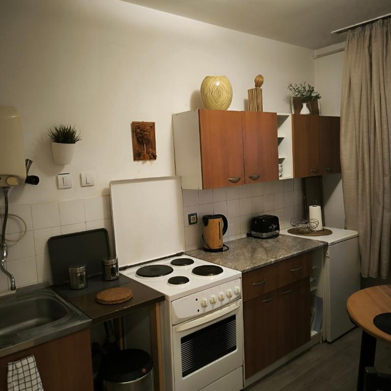 Apartman Centar Beograd - Apartment mit Terrasse - 14