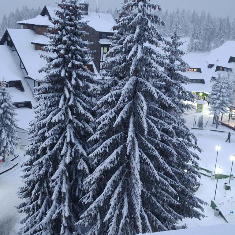 Kockica Kopaonik - Apartman sa 1 Spavaćom Sobom - 1